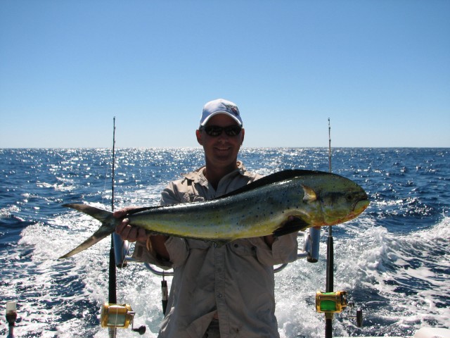 exmouth dolphinfish